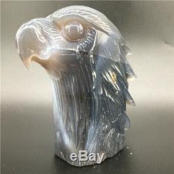 1.91LB Natural Geode Agate quartz eagle skull hand Carved crystal healing DK300