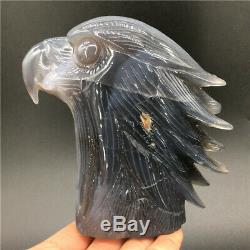 1.91LB Natural Geode Agate quartz eagle skull hand Carved crystal healing DK300