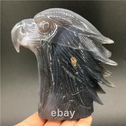 1.91LB Natural agate geode Quartz hand carved crystal eagle head Healing. DK300