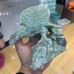 1.99LB Natural banded agate Quartz Hand Carved Eagle Skull Crystal healing decor