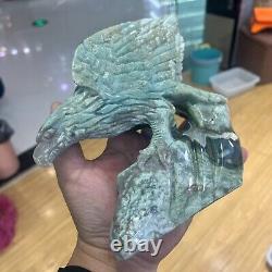 1.99LB Natural banded agate Quartz Hand Carved Eagle Skull Crystal healing decor