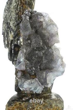 10.6 Pyrite and Fluorite Hand Carved Crystal Skull and Eagle Sculpture