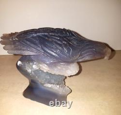 1166g 2.5lbs Agate quartz Druzy FULL Eagle hand carved claw, face feather detail