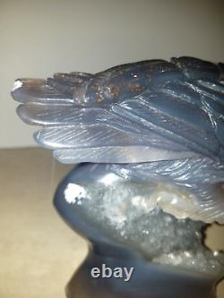 1166g 2.5lbs Agate quartz Druzy FULL Eagle hand carved claw, face feather detail