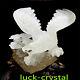 12.14lb Natural White Quartz Hand Carved Crystal Eagle Healing 1pc, Yh19