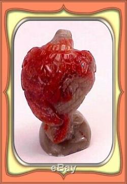 124.0ct Fossilized Utah Red Horn Coral Eagle Carving