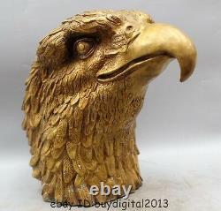 14 Chinese Fengshui Bronze Hawk eagle Head Bust king of birds Statue sculpture