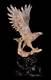 15.35natural Crazy Lace Agate Eagle Carving, Handcarved Crafts Al82