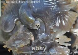 17.2 China Ancient natural agate hand carved Feng Shui animal eagle bird statue