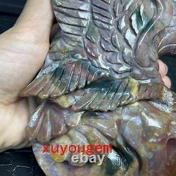 1pcs Natural Ocean jasper eagle Skull Quartz Crystal Hand carving Healing 830g