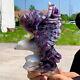 2.09lb Natural Dream Amethyst Crystal Hand Carved Eagle Treatment