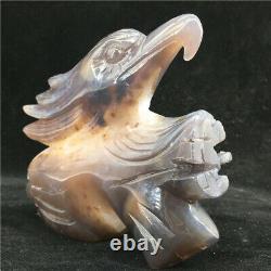 2.0LB Natural Agate geode quartz eagle skull Hand Carved point Crystal MDK1032