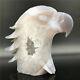 2.11lb Natural Geode Agate Quartz Eagle Skull Hand Carved Crystal Healing Dk295