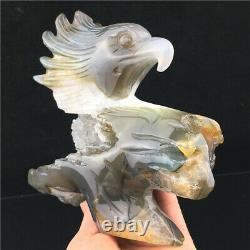2.1LB Natural Geode Agate eagle skull quartz hand Carved crystal DK932-4