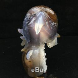 2.22LB Natural Geode Agate quartz eagle skull hand Carved crystal MK391