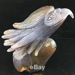 2.22LB Natural Geode Agate quartz eagle skull hand Carved crystal MK391