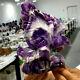 2.25lb Natural Dream Amethyst Crystal Hand Carved Eagle Treatment