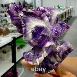 2.25LB Natural dream Amethyst crystal hand carved eagle treatment