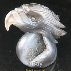 2.26LB Natural Geode Agate quartz eagle skull hand Carved crystal MK411