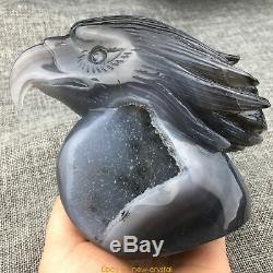 2.26LB Natural Geode Agate quartz eagle skull hand Carved crystal MK411