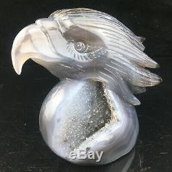 2.28LB Natural Agate geode point quartz eagle skull Hand Carved Crystal mk411