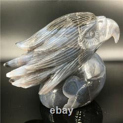 2.28LB Natural Agate geode quartz eagle skull Hand Carved Crystal MDK2521