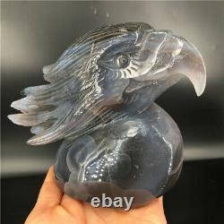 2.28LB Natural Agate geode quartz eagle skull Hand Carved Crystal MDK2521