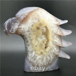 2.2LB Natural Geode Agate eagle skull quartz hand Carved crystal DK299