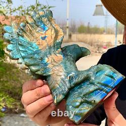 2.45LB Natural labradorite crystal handcarved eagle healing