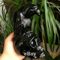 2.4LB Natural Black Obsidian Crystal Skull with Eagle Hand Carved Healing 1pcs