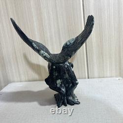 2.75LB Natural Black peony stone Quartz Hand Carved eagle Skull Reiki Gem Decor