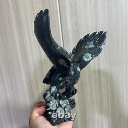 2.75LB Natural Black peony stone Quartz Hand Carved eagle Skull Reiki Gem Decor