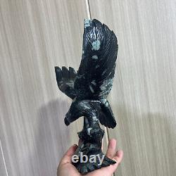 2.75LB Natural Black peony stone Quartz Hand Carved eagle Skull Reiki Gem Decor