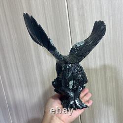 2.75LB Natural Black peony stone Quartz Hand Carved eagle Skull Reiki Gem Decor