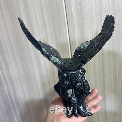 2.75LB Natural Black peony stone Quartz Hand Carved eagle Skull Reiki Gem Decor