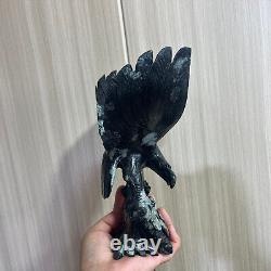 2.75LB Natural Black peony stone Quartz Hand Carved eagle Skull Reiki Gem Decor