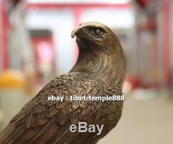 23 CM China Pure Bronze Copper Animal Bird Lanneret Hawk Eagle Falcon Sculpture