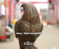23 CM China Pure Bronze Copper Animal Bird Lanneret Hawk Eagle Falcon Sculpture