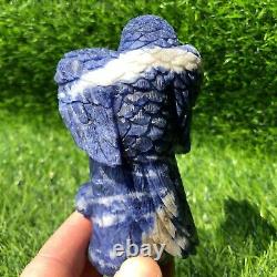 263g Natural Blue stone Quartz Crystal eagle skull Hand Carved Mineral healing