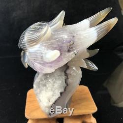 2LB Natural Geode Agate Quartz Eagle Skull Hand Carved Crystal 6 UY1