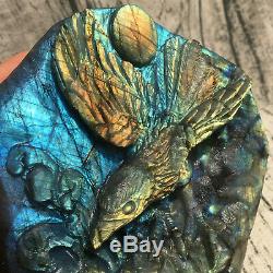 3.19LB Natural Labradorite eagle Hand Carved Crystal Skull Reiki Healing HOK237