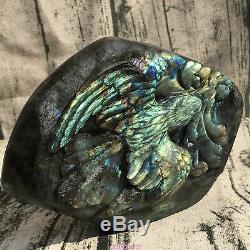 3.32LB Natural Labradorite eagle skull crystal spectrolite hand carved OK222-2
