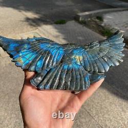 3.46LB Natural Elongated Stone Crystal Hand-carved Eagle Energy Healing