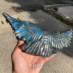 3.46LB Natural Elongated Stone Crystal Hand-carved Eagle Energy Healing