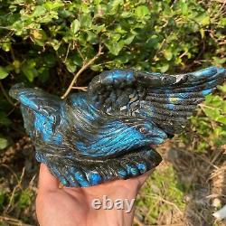 3.46LB Natural beautiful labradorite crystal hand- carved Eagle healing
