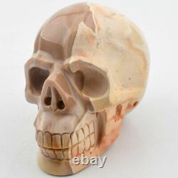 3.7 100%Natural Mookiate Crystal Hand Carved Eagle skull, Crystal Healing, 510g