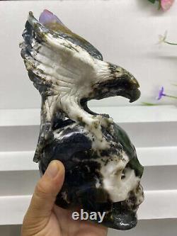 3.7lb Natural Ocean Jasper Quartz Hand Carved Eagle Skull Crystal Gem Decor