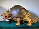 30 China Wood Hand Carving Fengshui Dragon Turtle Animal Statue