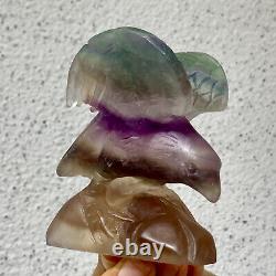 326G Natural beautiful fluorite crystal hand carving eagle Reiki healing