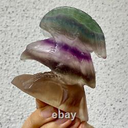 326G Natural beautiful fluorite crystal hand carving eagle Reiki healing